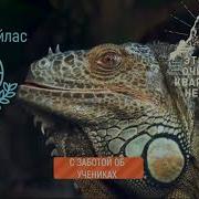 Очищение Квартиры От Негатива