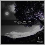 Try On Miguel Bastida