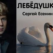 Лебедушка Есенин Слушать