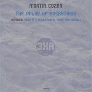 Martin Cozar The Pulse Of Everything
