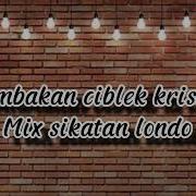 Masteran Tembakan Ciblek Mix Sikatan Londo