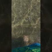 Блин Вода Токой Солёный