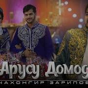 Туй Муборак Арусу Домод