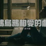 白鸽乌鸦相爱的戏码