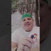 Кто Овца Прикол