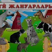 Үй Жануарлары