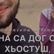 Амир Идрисов Дог Са