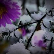 Елена Фролова Греческая Песня