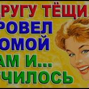 Тёщины Истории Жизненные Истории Взрослые Истории