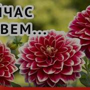 Уходят Годы Безвозвратно Красивые Стихи О Жизни