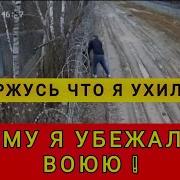 Почему Я Горжусь Тем Что Я Ухилянт Горжусь Что Я