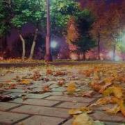 Лебеди Летят Оставляя След