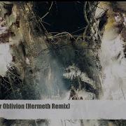 Hedchef Desinformant Aiming For Oblivion Hermeth Remix