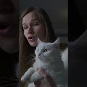 Кошка Софа Создает Игру