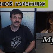 Мурка На Губной Гармошке