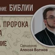 Книга Пророка Амоса Священник Алексей Волчков Библия
