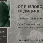 Оригинал Стс Пчёла