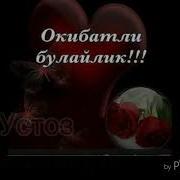 Фозил Кори Мехр Окибат