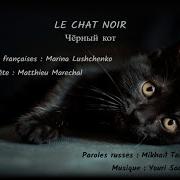 Черный Кот На Французском
