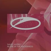 Alone In The Wilderness Davey Asprey