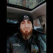 Vaska Shabran Не Вписанный Закон Hi T 2023
