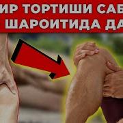 Оёк Томир Тортиши