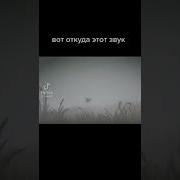 Ой Ой Ой Псих