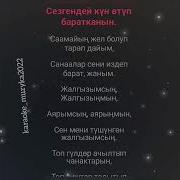 Жалгызымсын Караоке