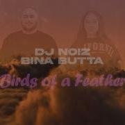 Birds Dj Noise