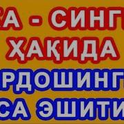 Ака Сингил Уртасидаги Мухаббат