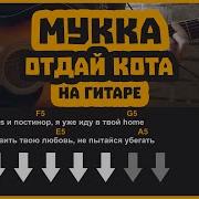 Мукка Отдай Кота На Гитаре