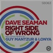 Dave Seaman Right Side Of Wrong