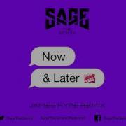 Now And Later James Hype Remix Sage The Gemini