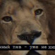 Цитаты Со Львом Нарни