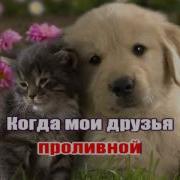 Караоке Для Детей Когда Мои Друзья Со Мной