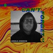 Can T Forget U Jungle Jonsson