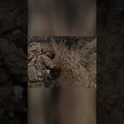 Бойцам Сво Посвящается