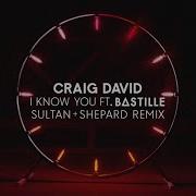 Craig David I Know You Feat Bastille Sultan Shepard Remix