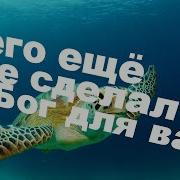 Светлана Емельянова Минус Песни Учителя Скачать Бесплатно