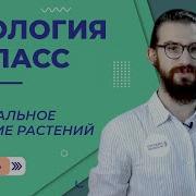 Минеральное Питание Растений Удобрения