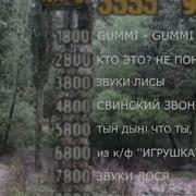 Реклама 5555 Дождь