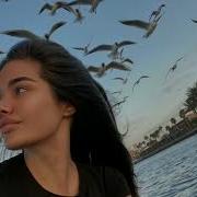 Мел Ч1Ог1А Хьо Хийца Елла 2017 New