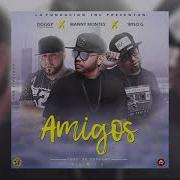 Amigos Remix Doggy El De La Fundacion Manny Montes Wiso G