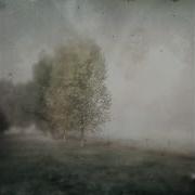 Familiar Patterns William Ryan Fritch