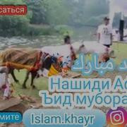 Мавлуди Афгони