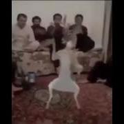 Арабская Музыка Мем