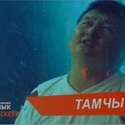 Сыймык Бейшекеев Тамчы Тамчы