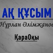 Минисовка Ақ Құсым