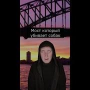 Том 1 Космос За Нас Фіолет