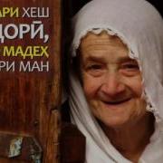 Модар Зулфикори Азиз
